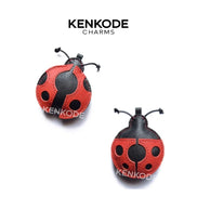 Lady Bug Charm - main
